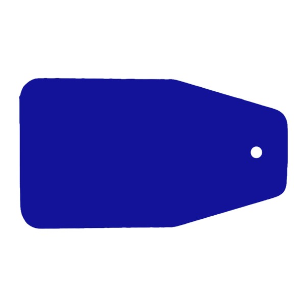 Blank Key Tag Shape CL