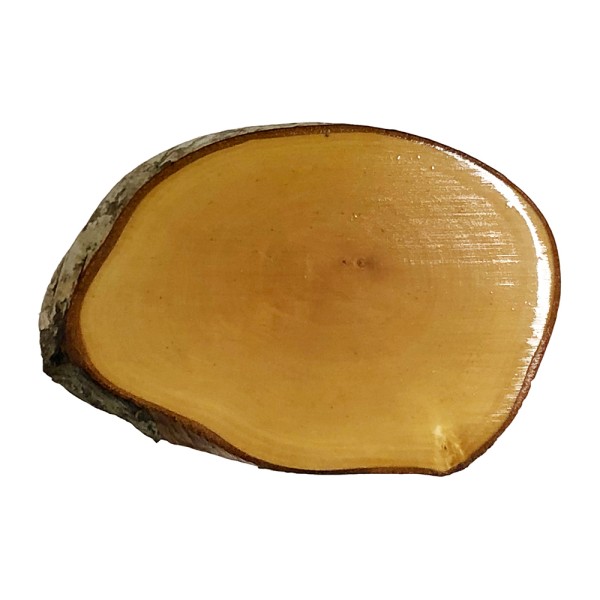 Blank Rustic Wood Slice