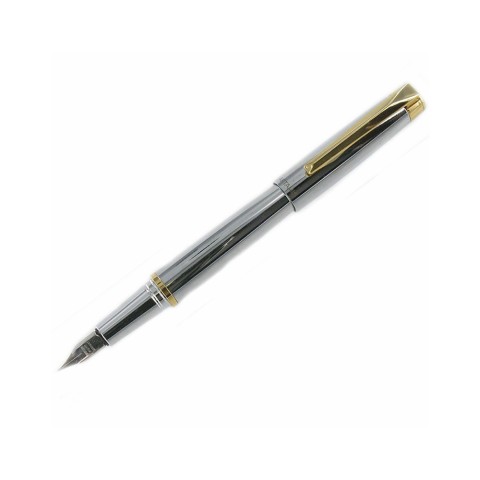 Approach Fountain Pen Stainless Steel And Gold