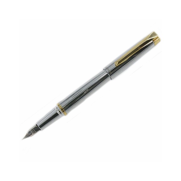 Approach Fountain Pen Stainless Steel And Gold